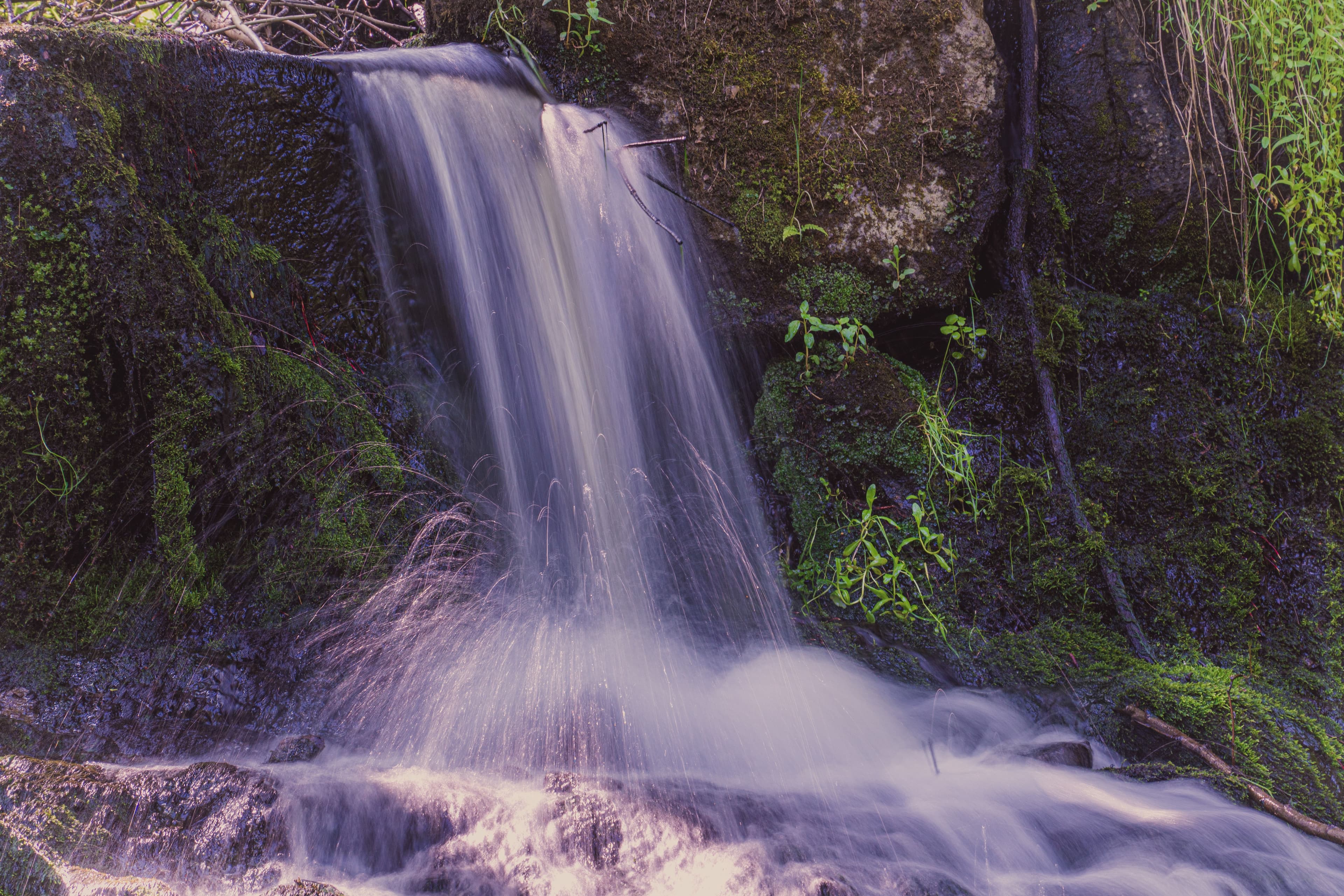 Rainforest waterfall